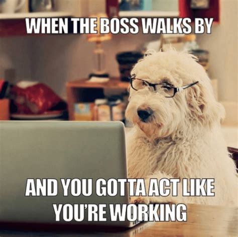 boss memes|hilarious work memes.